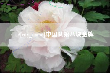 澄迈中国队第八块金牌