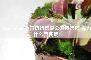 澄迈中国执行信息公开网官网app为什么要钱呢