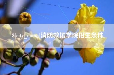 澄迈消防救援学院招生条件