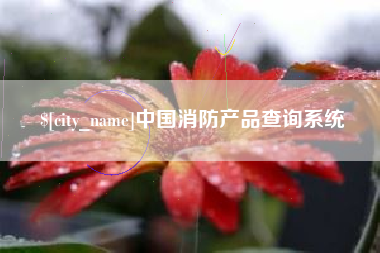 澄迈中国消防产品查询系统