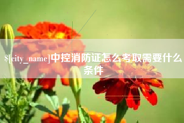 澄迈中控消防证怎么考取需要什么条件