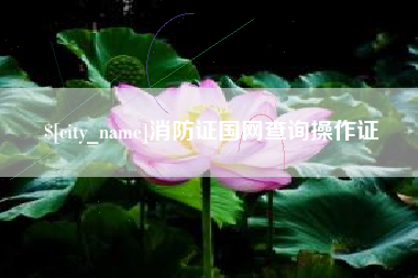 澄迈消防证国网查询操作证