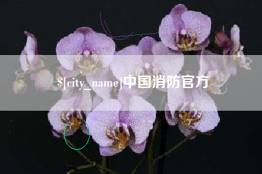 澄迈中国消防官方