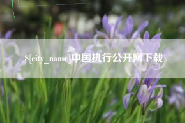 澄迈中国执行公开网下载