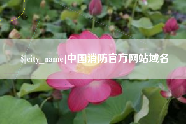 澄迈中国消防官方网站域名
