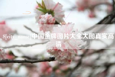 澄迈中国金牌图片大全大图真实高清