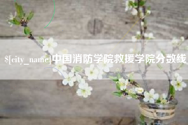澄迈中国消防学院救援学院分数线