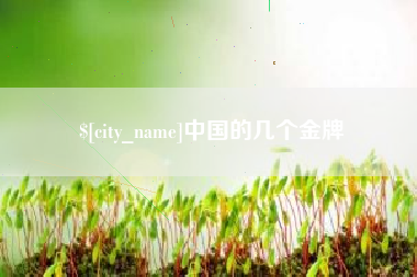 澄迈中国的几个金牌