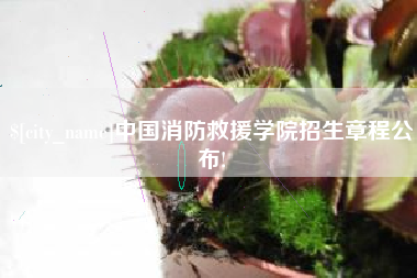 澄迈中国消防救援学院招生章程公布!