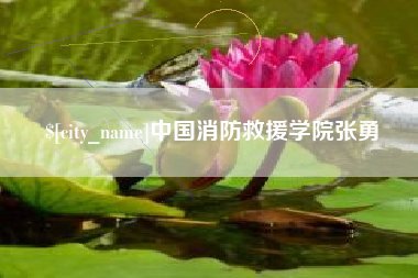 澄迈中国消防救援学院张勇