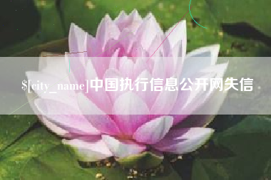 澄迈中国执行信息公开网失信