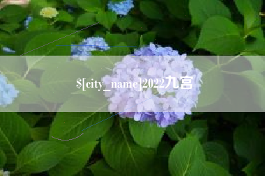 澄迈2022九宫