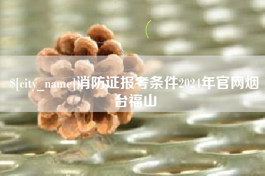 澄迈消防证报考条件2024年官网烟台福山