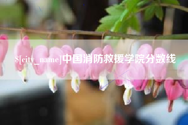 澄迈中国消防救援学院分数线