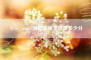 澄迈消防救援学院要多少分