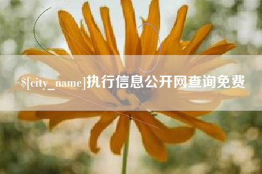 澄迈执行信息公开网查询免费
