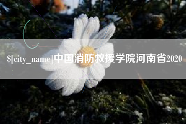 澄迈中国消防救援学院河南省2020